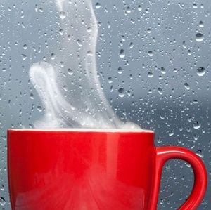 Meet your Posher, Eliza